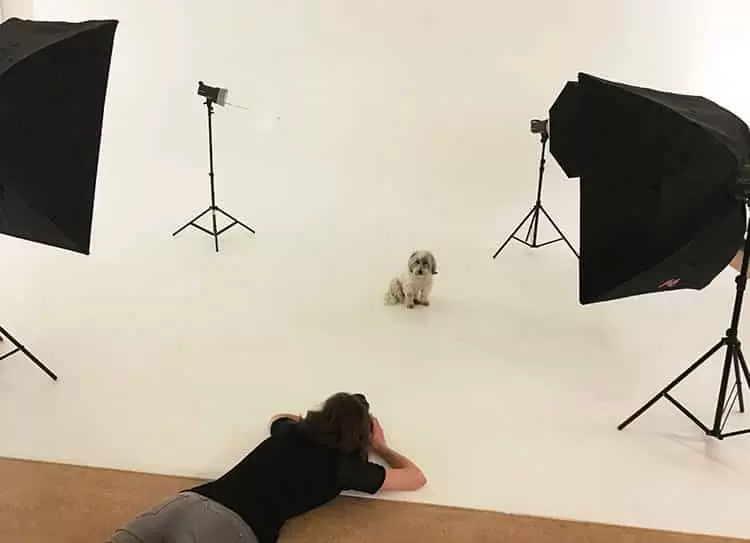 dierenfotografie studio