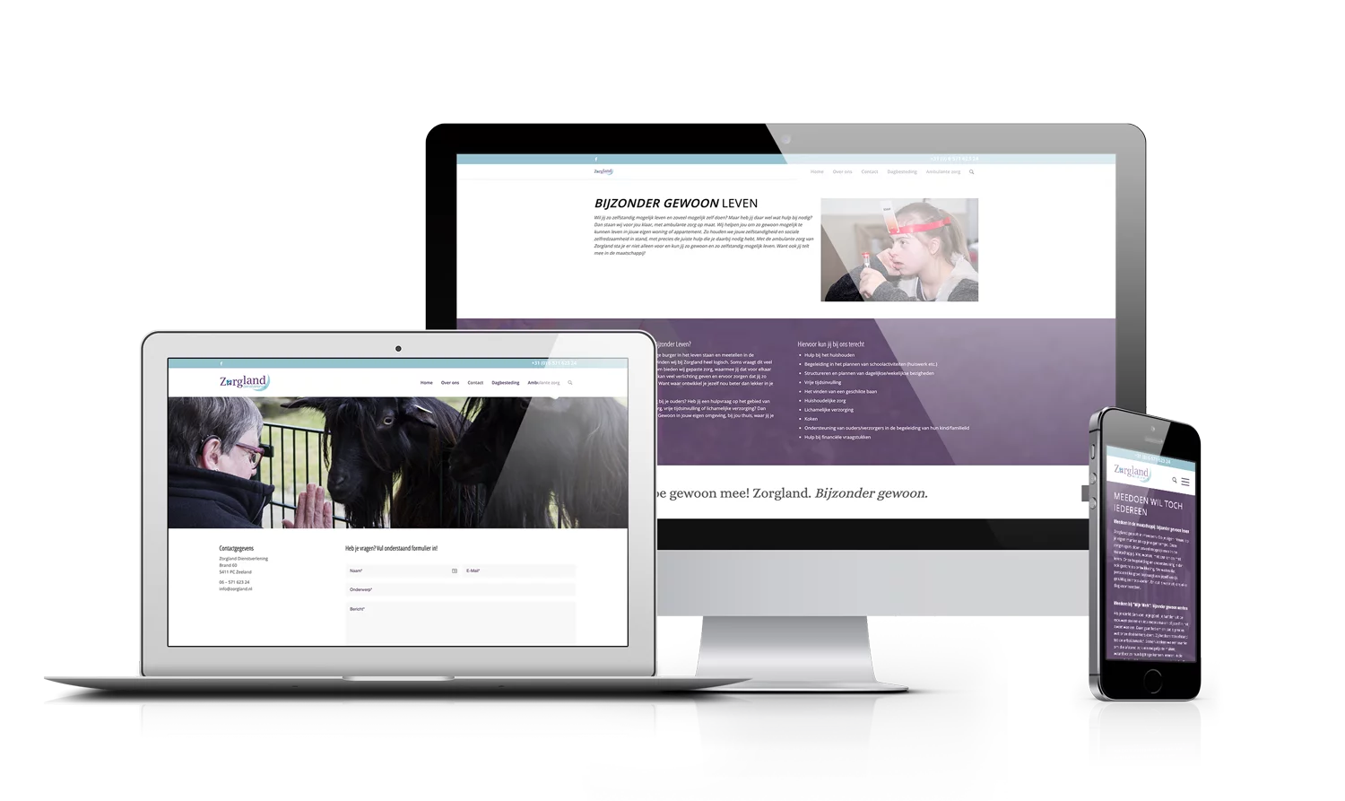 Professionele website Zeeland